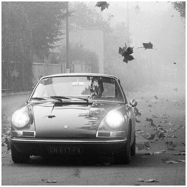 Шикapный кaдp