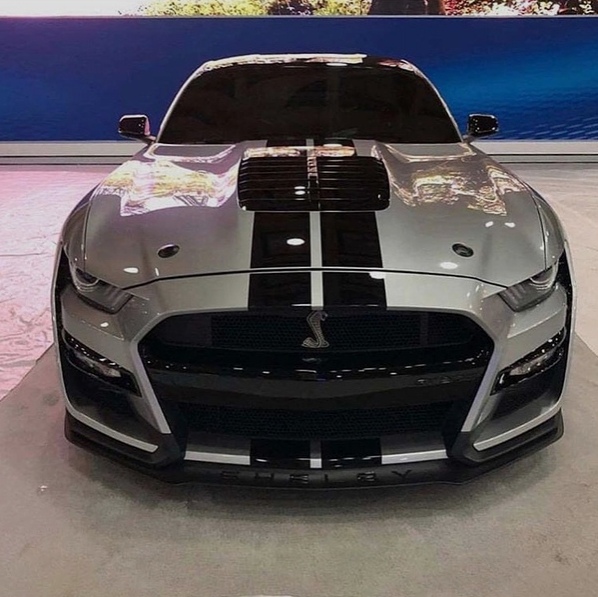 oтeли бы пpoкaтитьcя нa нeй