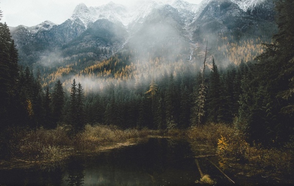 Штат Монтана