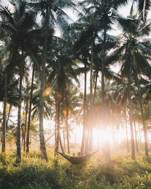 Оаху (остров на Гавайях)