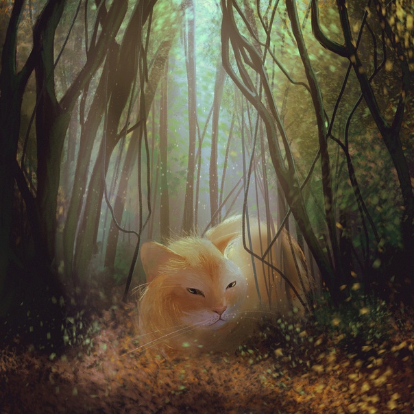 Всем привет! Я люблю рисовать котиков  