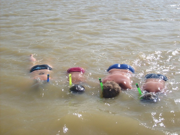 Обзор что надо