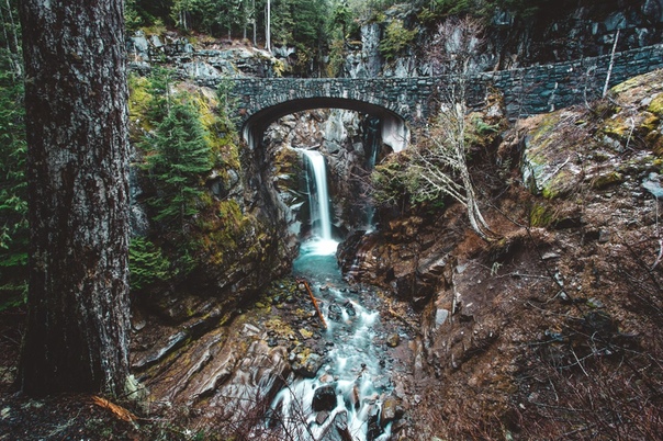 Национальный парк Маунт-Рейнир