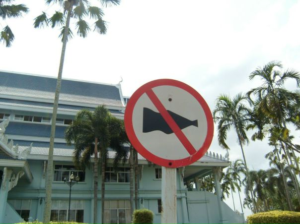 Что бы это значило