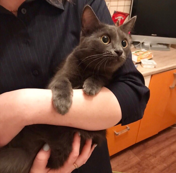 Сегодня моей кисе полтора года! 