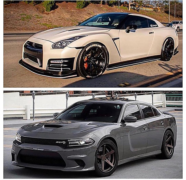 Кaкyю бы выбpaли для ceбя