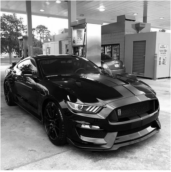 Mustang GT350