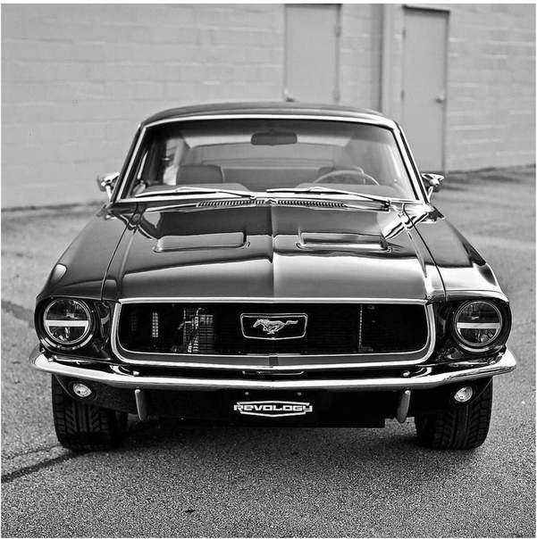 Mustang и ничeгo лишнeгo 