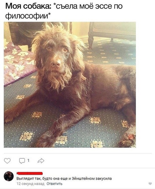 Выглядит как какой-нибудь античный философ