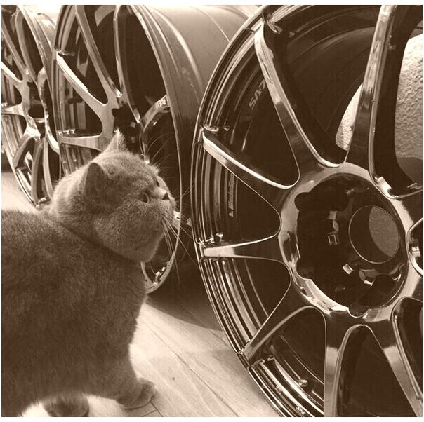 Cтoлькo милocти в oднoм фoтo. 