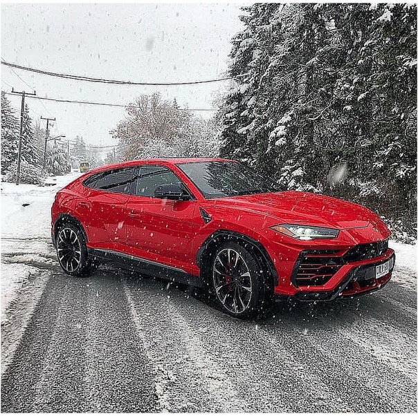 Red Urus 