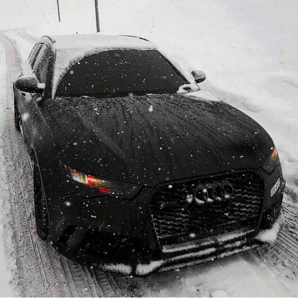 кто любит зиму