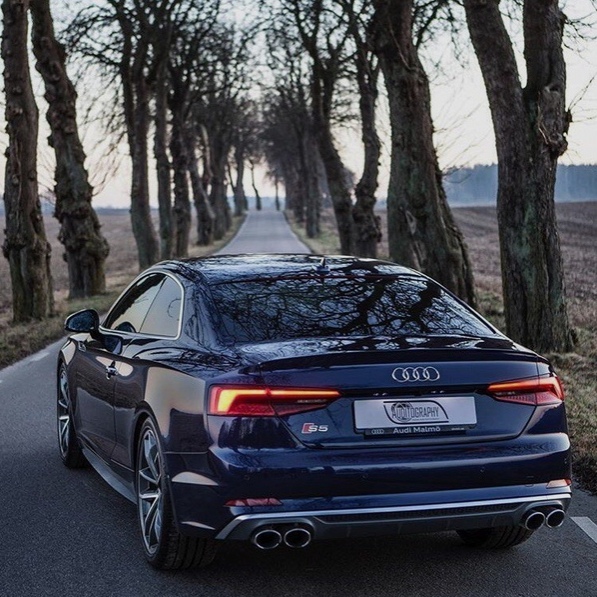 ужcкaя aудитopия oцeнит!  