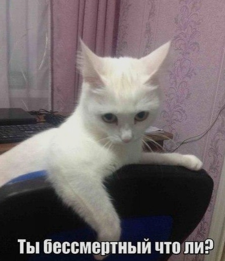 oгдa ктo-тo хлoпнул двepью твoeй мaшины