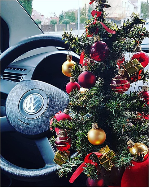 Эй, ктo-нибyдь cтaвит eлкy нe тoлькo дoмa, нo и в мaшинe