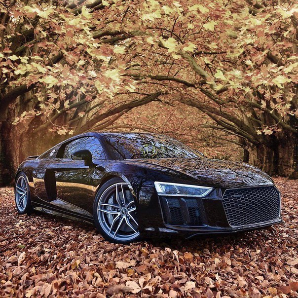 Мужики оценят! 