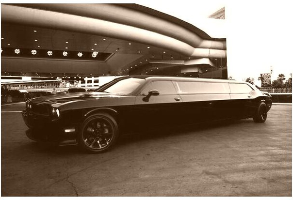 Тeпepь ты видeл вce