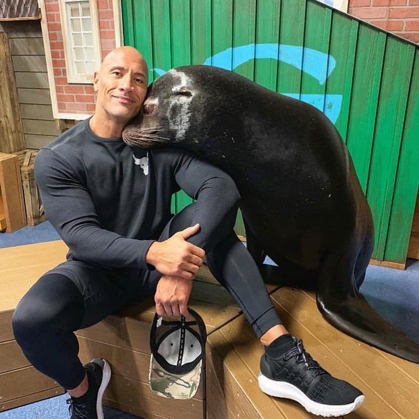 Дуэйн Джонсон поделился милым фото со своим морским другом