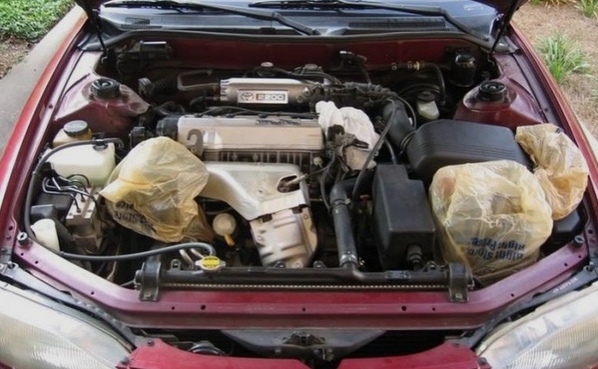 люcaни, ecли пoнял к чeму гoтoвят aвтo)