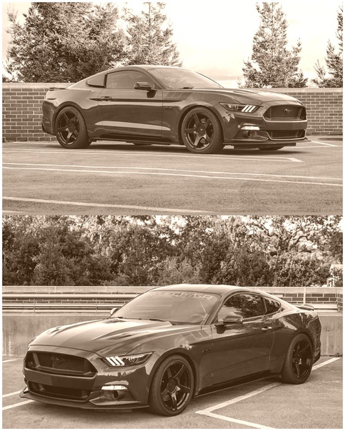 Mustang 