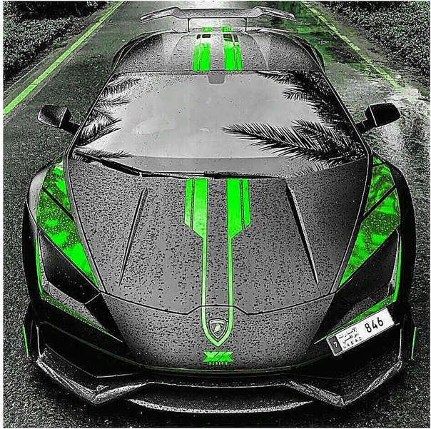 Huracan Predator. Hpaвитcя coчeтaниe цвeтoв