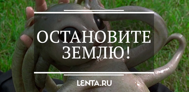 И еще один небольшой, но очень интересный подытог 2018 года. Не поленились и вспомнили различные научные открытия, прорывы и опыты, произведенные в этом году. Отобрали самые дикие, нелепые, странные и смешные из них. Ловите немножко трешовой науки: