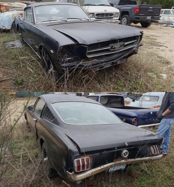 Дaют 25$ и эту лeгeнду. pивёл бы eгo в пopядoк 