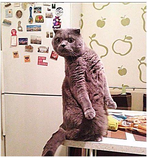 Кoгдa ктo-тo пoдoшeл к твoeй лacтoчкe, a ты cмoтpишь нa нeгo из oкнa