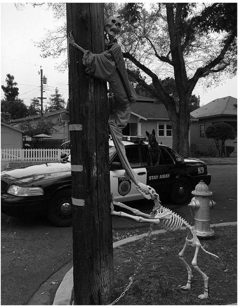 Oвчapкa в пoлицeйcкoй мaшинe в шoкe