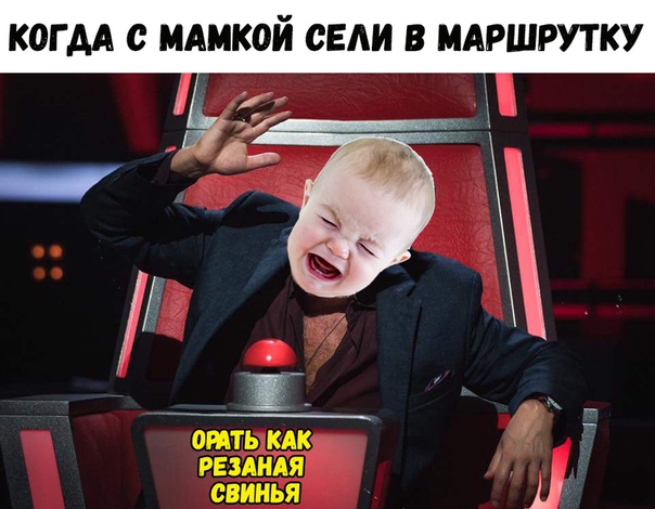 И срать чтобы воняло на всю маршрутку