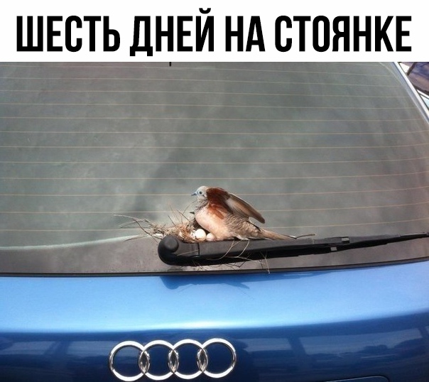 И не обосрано 