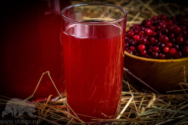 Здравствуйте, дорогие читатели! Заряжаемся витамнками. Морс – освежающий напиток, приготовленный из сока ягод, фруктов, овощей с добавлением воды, сахара или меда. Он чрезвычайно полезен, поскольку в нем содержится огромное количество витаминов. Ведь сок добавляют в свежем виде, без термической обработки. 