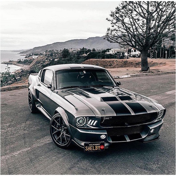 Shelby GT500R