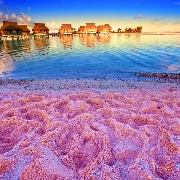 Пляж с розовым песком на острове Харбор, Багамы