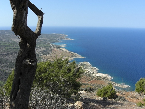 Два российских туриста погибли на Кипре
