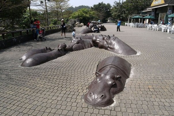 Скульптура «плавающих» в тротуаре бегемотов в зоопарке Тайваня.