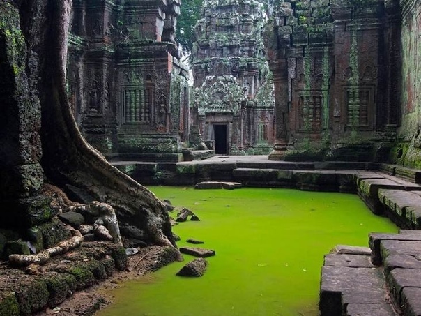 Храм Та Пром в Камбодже.