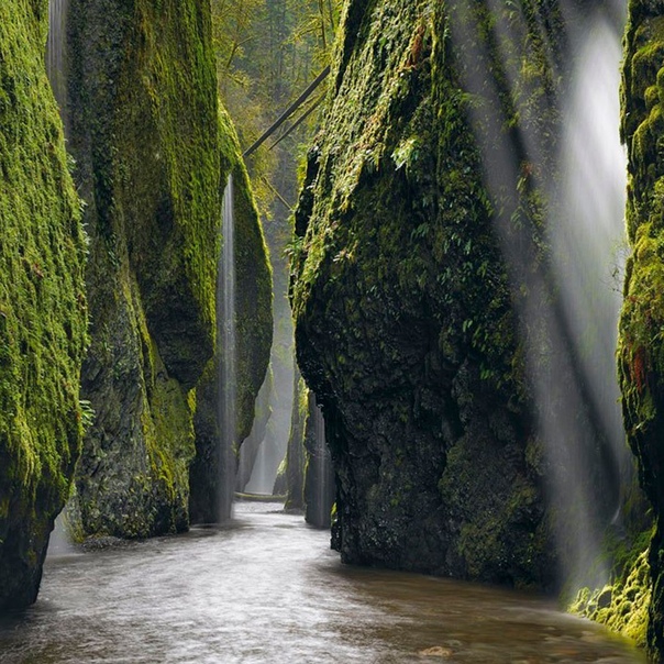 Ущелье реки Колумбия, Орегон.
