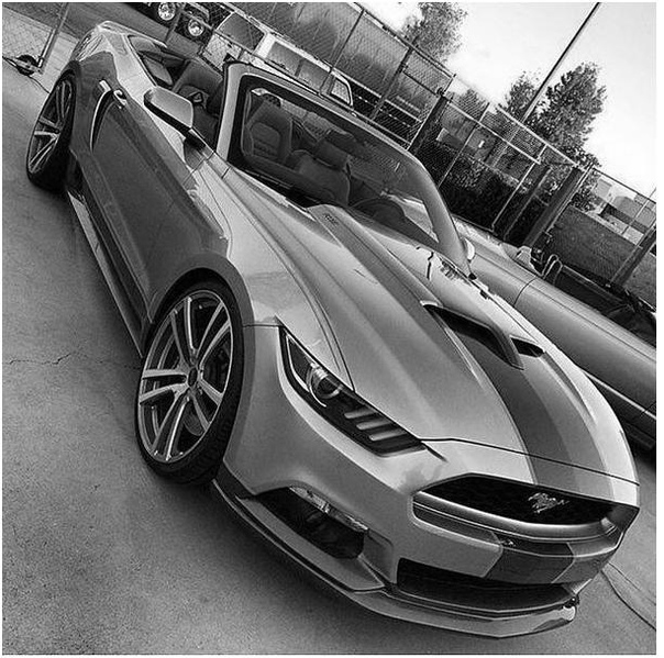 Mustang !